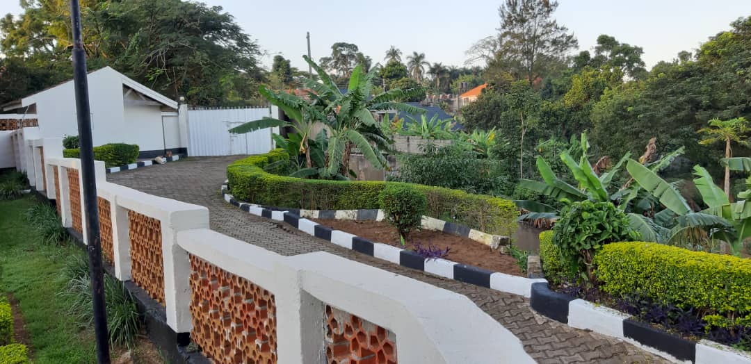 Beautiful Lake Views